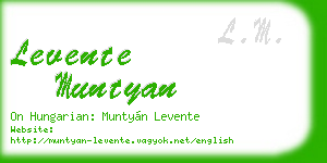 levente muntyan business card